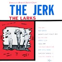 The Larks - You Must Believe Me