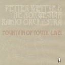 Petter Wettre The Norwegian Radio Orchestra - Understanding