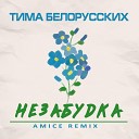 Тима Белорусских Amice - Незабудка