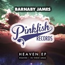 Barnaby James - In These Arms Original Mix