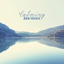 Relaxing Zen Music Therapy - Total Relax