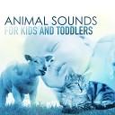 Naptime Toddlers Music Collection - Night Animal Sounds Croaking Frogs
