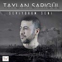 Taylan Sar g l - Seviyorum Seni