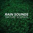 Rain Sounds Nature Sounds - Days Like This Original Mix