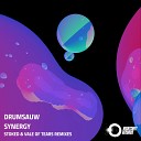 Drumsauw - Synergy Original Mix