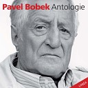 Pavel Bobek - Vincent Van Gogh