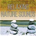 Time of Relax Universe - Yoga Moods