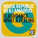 House Republic feat DJ Amadeus - Flashdance What a Feeling Radio Edit