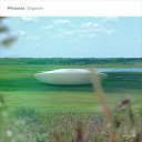 Plesiada - Region 30 Original Mix