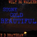Wily Bo Walker E D Brayshaw - Loan Me A Dime