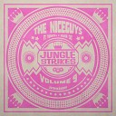 The Niceguys Turntill feat Silver Cat - Rub A Dub Party Original Mix