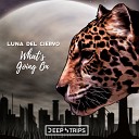 Luna Del Ciervo - What s Going On Original Mix