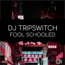 DJ Tripswitch - Fool Schooled Original Mix