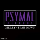 GIDLEY - Tear Down Original Mix