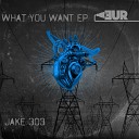 Jake 303 - What You Want Original Mix