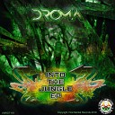 DROMA - Vivid Imagination Original Mix