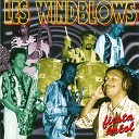 Les Windblows - La VI difficil