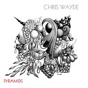Chris Wayde - All the Animals Come out at Night