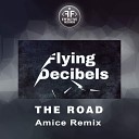 Flying Decibels Amice - The Road
