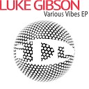 Luke Gibson - Feel The Light