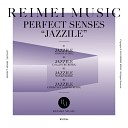 Perfect Senses - Jazzile Original Mix