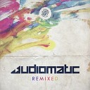 Audiomatic Phaxe - Pineapple X Press Ranji Remix