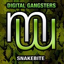 Digital Gangsters - Snakebite Original Mix