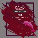 Devrim Sarica - Felis Original Mix