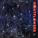 Show Me - Nightflowers Original Mix