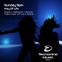 Sunday 9pm - Way Of Life Luis A Moreno Radio Edit