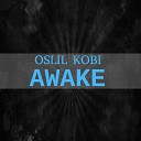 Oslil Kobi feat MC Shaq Skyler Grey - Love the Way You Lie Pt 2