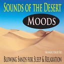 Shenkoo Yekoo Sky - Blowing Sands with Desert Cricket Sounds