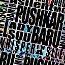 Damir Pushkar Lady Suubaru - Silent Whisper Original Mix