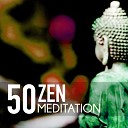 Zen Meditation Orchestra - A Place for Us
