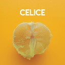 a ha - Celice Instrumental Version