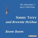 Sonny Terry And Brownie McGhee - No Love Blues