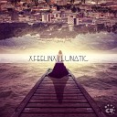 X feelinx - Lunatic K Beatz Remix