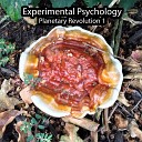 Experimental Psychology - Deep Empty
