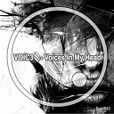 VOIC3S - Voices In My Head Original Mix