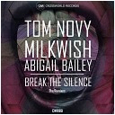 Tom Novy Milkwish Abigail Bailey - Break The Silence The Inaudibles Rethink