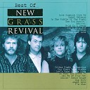 The New Grass Revival - Let s Make A Baby King