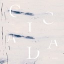 Cicada - Into the Ocean