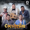 Cocodriloz Los Reyes del Pantano - La Patrona M s Hermosa