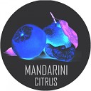 Mandarini - Citrus Original Mix