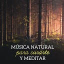 Academia de Sonidos de la Naturaleza para… - Music cure