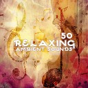 Gentle Instrumental Music Paradise feat Deep Sleep Music… - Spiritual Relaxation Sax Instrumental