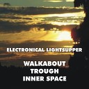 Electronical Lightsupper - Vote for the King