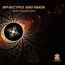 Spectro Senses - Deep Connection Original Mix