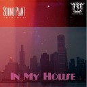 Sound Plant - In My House Original Mix