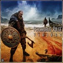 Psychedelic Pulse - Vikings Original Mix